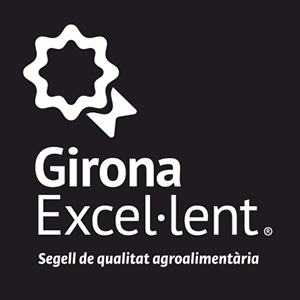 logo_girona_excellent_300x300