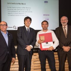 segells_qualitat_Girona_Excelent_ddgi_2016-228