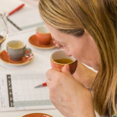 Girona Excel·lent, tast aigües i cafès
