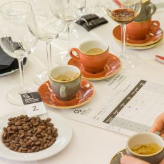 Girona Excel·lent, tast aigües i cafès