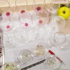 Girona Excel·lent, tast vins, Escola d'Hostaleria de Girona