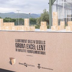 ddgi_difusio_girona_excelent_premis_6_7_2021-5