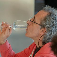 Xevi F. Güell